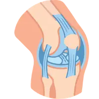 Sports injury rehabilitation