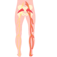 Neck pain physiotherapy